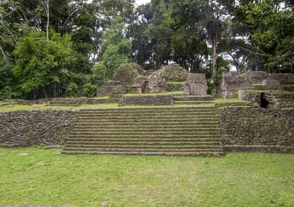Antiguo Sitio Arqueológico Maya Llamado Caracol Ubicado Belice Centroamérica — Foto de Stock