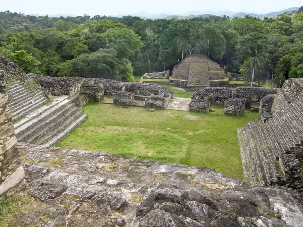 高角度のショットを古代マヤ遺跡カラコル中央アメリカのベリーズにある名前を表示 — ストック写真