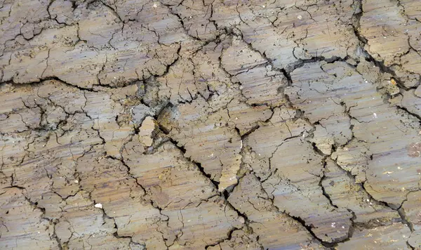 Beautiful Colored Full Frame Abstract Fissured Soil Structure — Stock Photo, Image