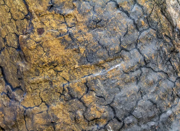 Vollrahmen Abstrakte Rissige Holz Hintergrund — Stockfoto