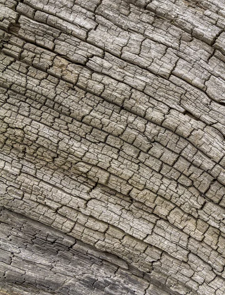 Abstract Weathered Wood Grain Closeup — Stock Photo, Image