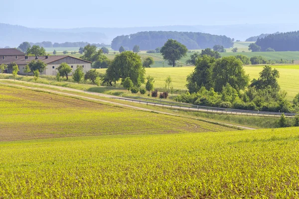 ブラウンスバッハ ドイツ南部地区で春の時間に畑と田園農業風景 — ストック写真