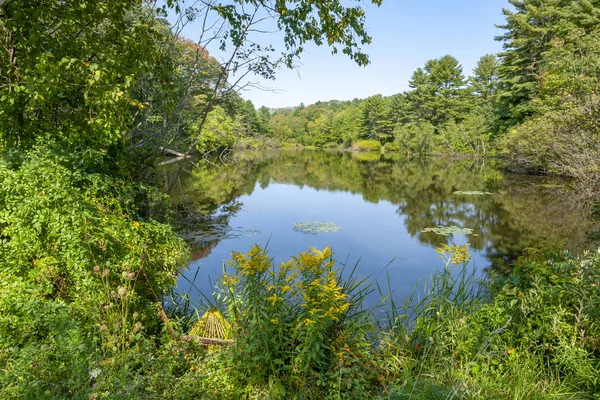 Riparian Scenery Yarmouth Cumberland County Maine Usa — Stock Photo, Image