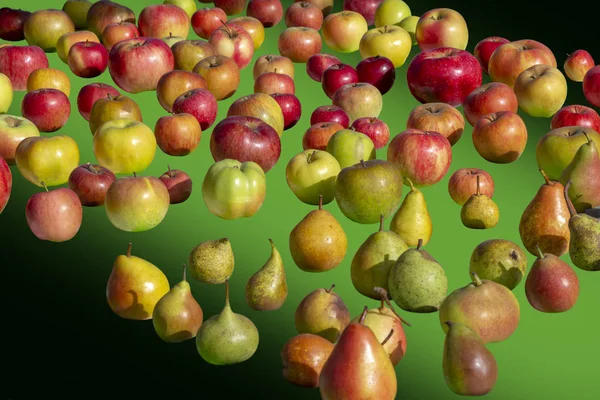 各种苹果和梨品种在梯度绿色背 — 图库照片