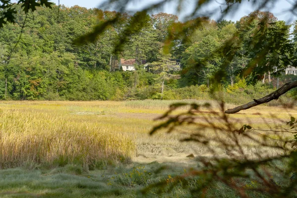 Krajobraz Wokół Yarmouth Hrabstwie Cumberland Stanie Maine Stany Zjednoczone Ameryki — Zdjęcie stockowe