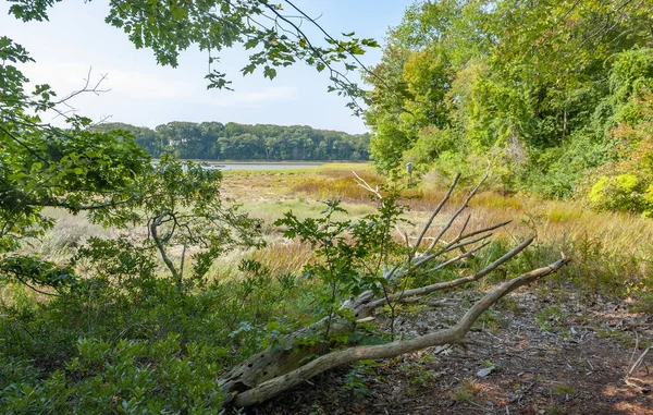 Paysages Riverains Autour Yarmouth Dans Comté Cumberland Dans Maine États — Photo