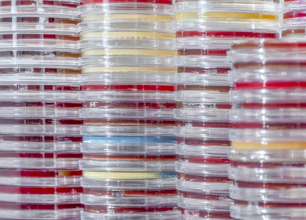 Cuadro Completo Toma Abstracta Que Muestra Montón Placas Petri Apilados — Foto de Stock
