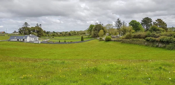 春のアイルランド西部の牧歌的な田園風景 — ストック写真