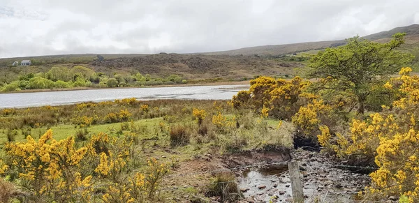 Idyllische Landschappen Aan Het Water Connemara Een Regio County Galway — Stockfoto