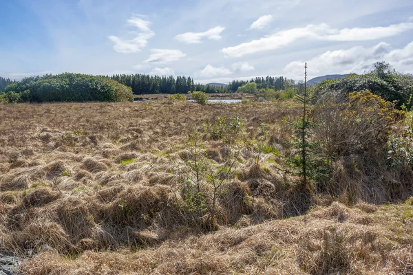 Paisaje Humedales Alrededor Connemara Una Región Del Oeste Irlanda — Foto de Stock