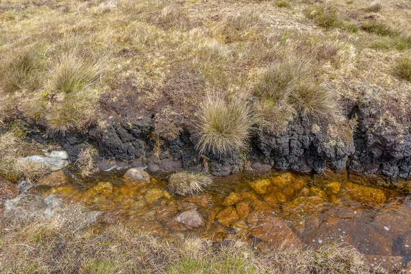 Detalle Los Humedales Torno Connemara Una Región Del Oeste Irlanda — Foto de Stock