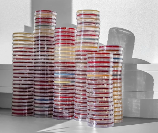 Montón Placas Petri Apilados Llenos Medio Crecimiento Agar Colorido — Foto de Stock