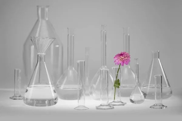 Variety Partly Filled Laboratory Glassware Including Flower Head — Stock Photo, Image