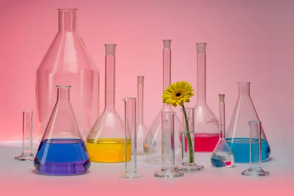 Variety Partly Filled Laboratory Glassware Including Flower Head Coloful Ambiance — Stock Photo, Image