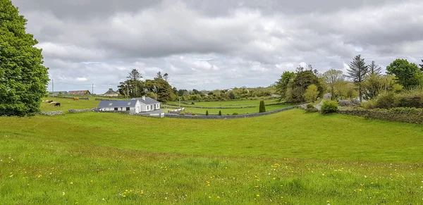春のアイルランド西部の牧歌的な田園風景 — ストック写真