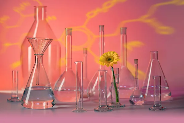 Variedad Cristalería Laboratorio Parcialmente Llena Incluido Cabezal Flores Ambiente Rojo — Foto de Stock