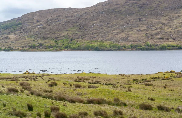 Waterside Scenery Connemara District Ireland — Stock Photo, Image