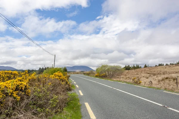 Weglandschap Rond Connemara Een District Ierland — Stockfoto