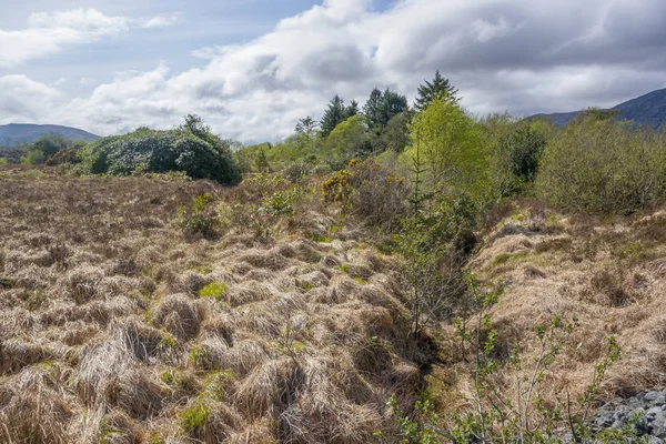 アイルランドの地区 コンネマラ周辺の自然景観 — ストック写真