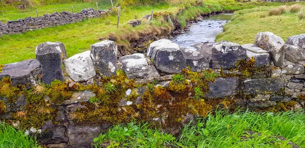 Overwoekerde Stenen Muur Detail Gezien Connemara Een Regio Ierland — Stockfoto