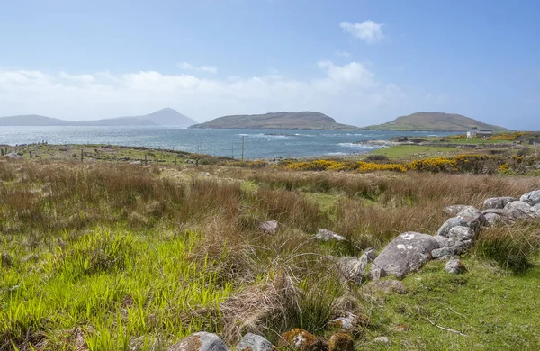 Kustlandschap Connemara Een Regio Ierland — Stockfoto