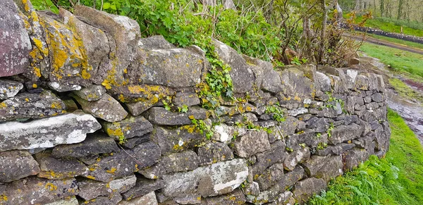Detalle Del Muro Piedra Cubierto Visto Connemara Una Región Irlanda —  Fotos de Stock