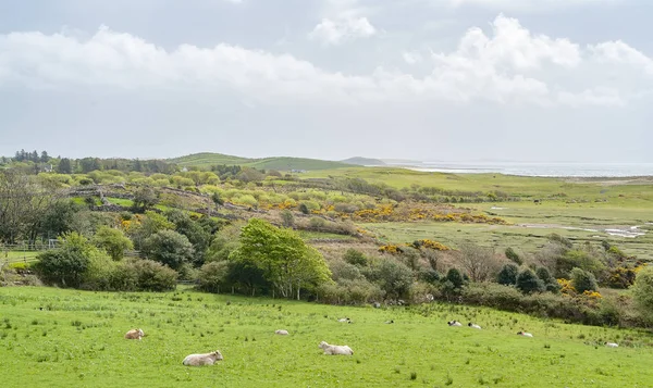 Natuurlijke Landschap Gezien Conemara Een Gebied Ierland — Stockfoto