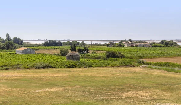 Paisagem Torno Uma Comuna Chamada Aigues Mortes França — Fotografia de Stock