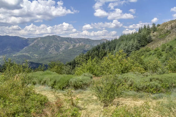 Auvergne Rhône Alpes Güney Fransa Pastoral Sahne — Stok fotoğraf