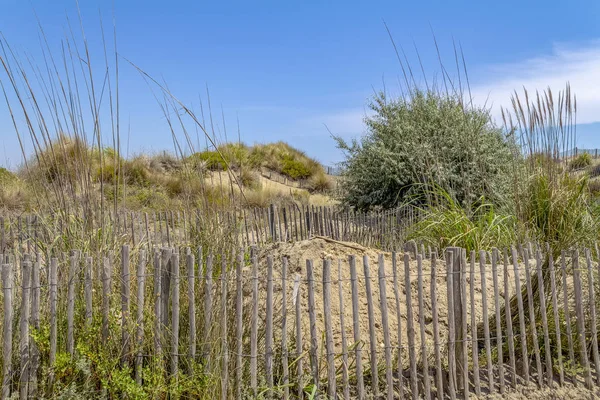 Strand von Espiguette — Stockfoto