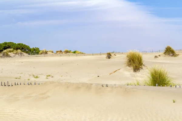 Strand von Espiguette — Stockfoto