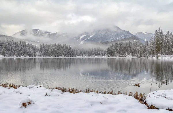 Hintersee kış zaman — Stok fotoğraf