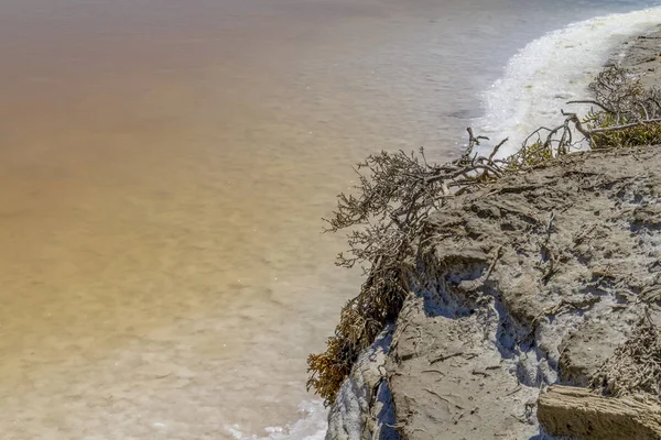 Salin-de-Giraud — Fotografia de Stock