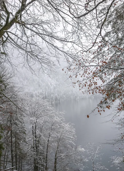 Koenigssee ในบาวาเรีย — ภาพถ่ายสต็อก