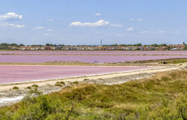 Salina-de-giraud — Foto Stock