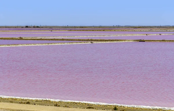 Salina-de-giraud — Foto Stock