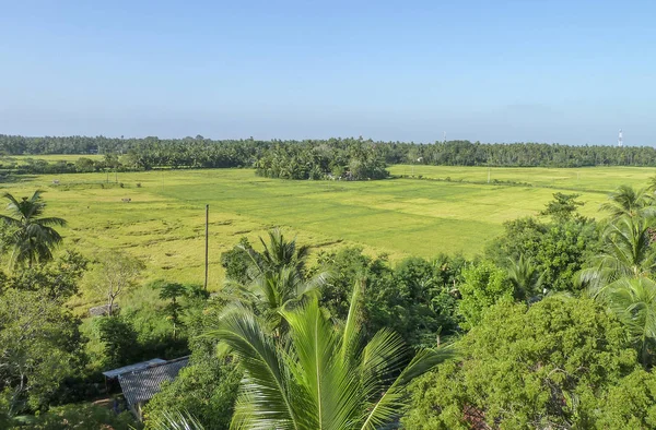 Indruk van Sri Lanka — Stockfoto