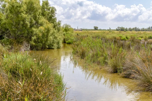 Regionaal Natuurpark van de Camargue — Stockfoto