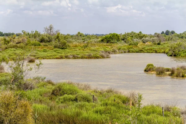 Regional Nature Park i Camargue — Stockfoto