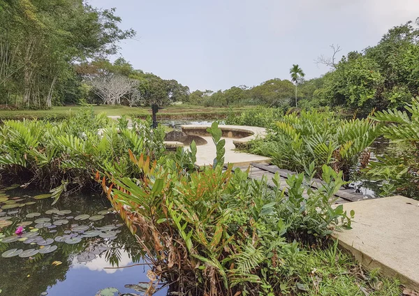 Indruk van Sri Lanka — Stockfoto