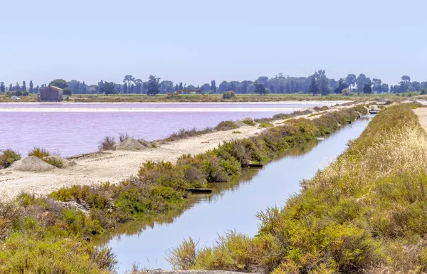 Zoutoplossing in de Camargue — Stockfoto