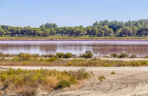 Zoutoplossing in de Camargue — Stockfoto