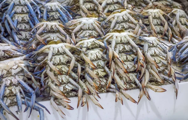 Crabs — Stock Photo, Image