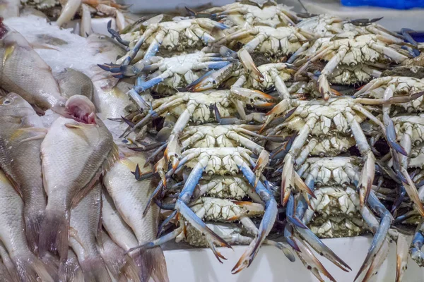 Mariscos — Foto de Stock