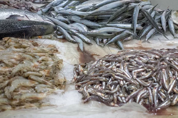 Mariscos — Foto de Stock