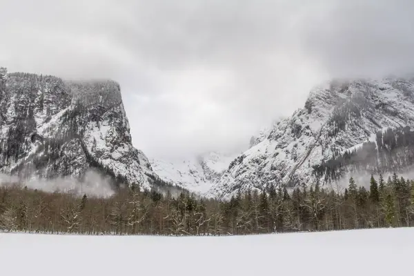 Peninsula Hirschau — Fotografie, imagine de stoc