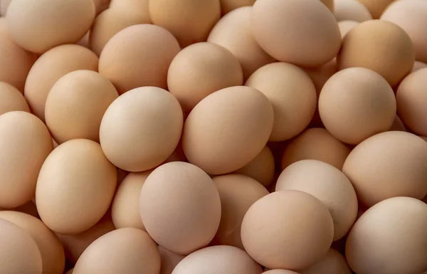 Lots of eggs — Stock Photo, Image