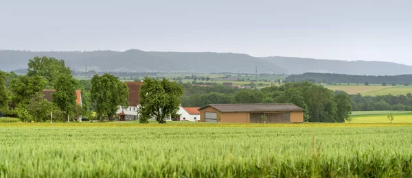 Сельские пейзажи Гогенлоэ — стоковое фото