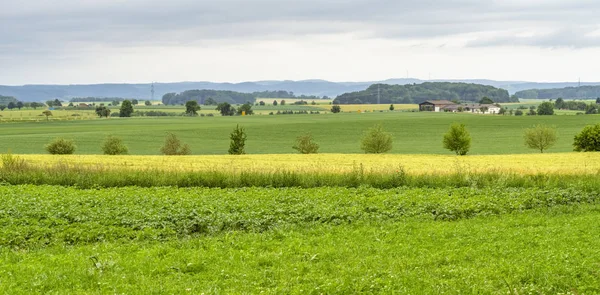 Ländliche Landschaft im Hohenlohekreis — Stockfoto