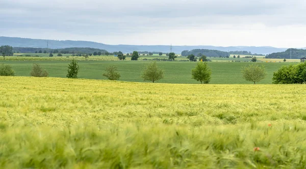 Ländliche Landschaft im Hohenlohekreis — Stockfoto
